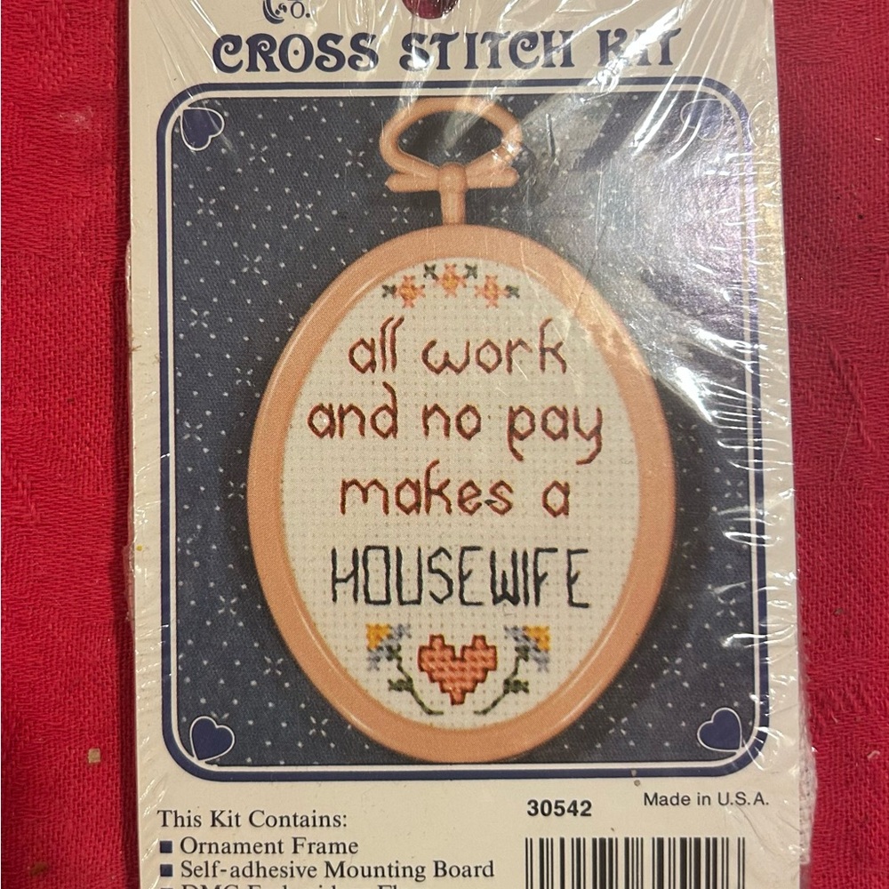 New Berlin cross stitch kit with frame. Directions and supplies included.